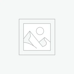 Anti Estrogens